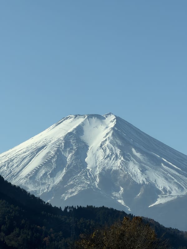Snow-Crowned Peak Above the Forested Slopes