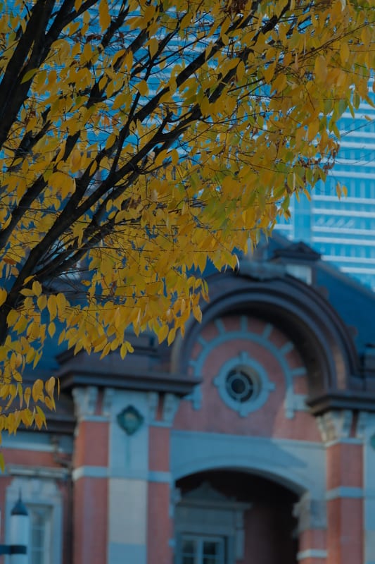 Autumn Gold Over Red Brick Heritage