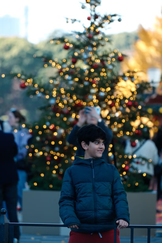 Wonder Before the Festive Lights